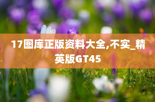 17图库正版资料大全,不实_精英版GT45