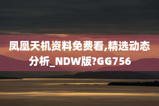 凤凰天机资料免费看,精选动态分析_NDW版?GG756