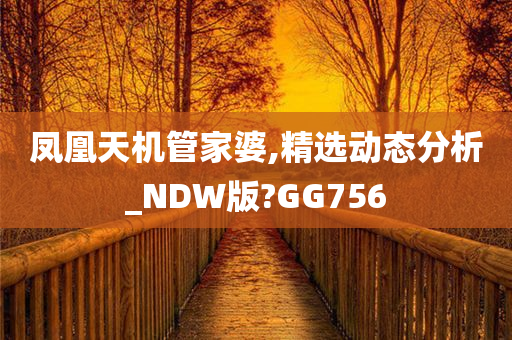 凤凰天机管家婆,精选动态分析_NDW版?GG756