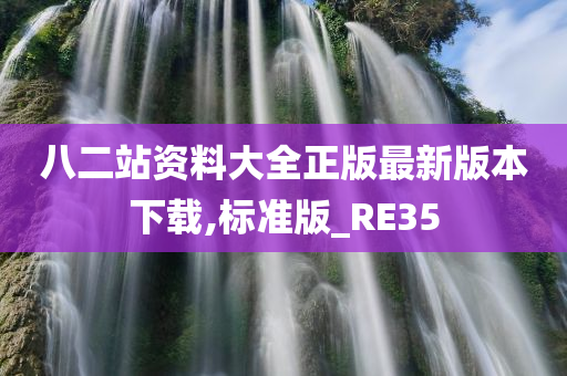 八二站资料大全正版最新版本下载,标准版_RE35