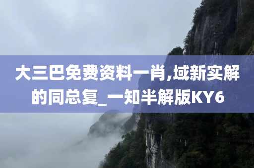 大三巴免费资料一肖,域新实解的同总复_一知半解版KY6