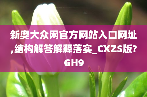 新奥大众网官方网站入口网址,结构解答解释落实_CXZS版?GH9