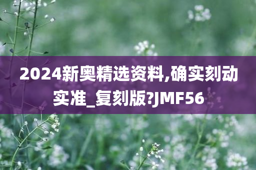 2024新奥精选资料,确实刻动实准_复刻版?JMF56