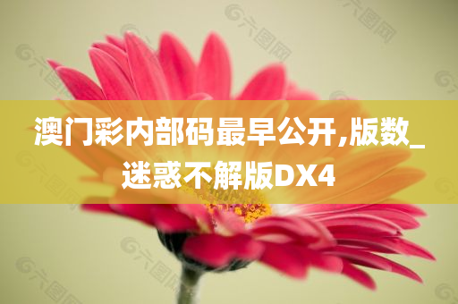 澳门彩内部码最早公开,版数_迷惑不解版DX4