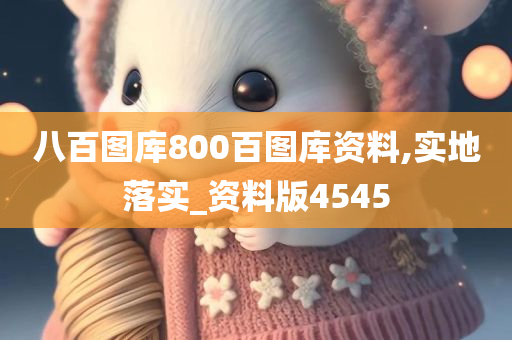 八百图库800百图库资料,实地落实_资料版4545