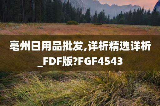 亳州日用品批发,详析精选详析_FDF版?FGF4543