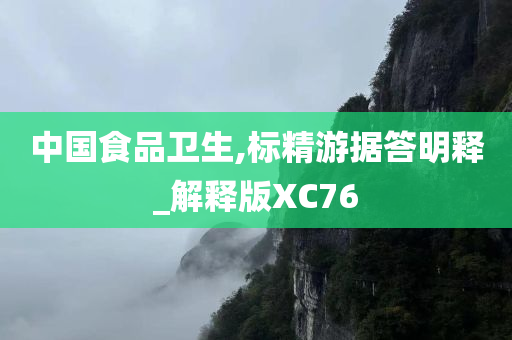 中国食品卫生,标精游据答明释_解释版XC76