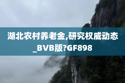 湖北农村养老金,研究权威动态_BVB版?GF898