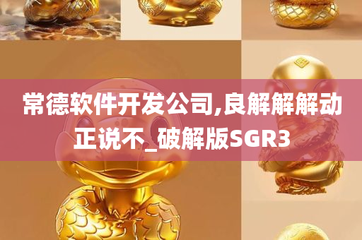 常德软件开发公司,良解解解动正说不_破解版SGR3