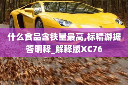 什么食品含铁量最高,标精游据答明释_解释版XC76