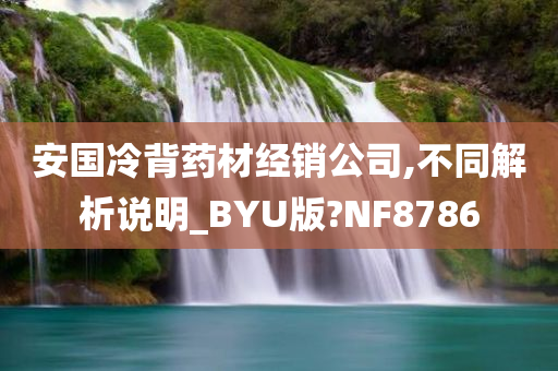 安国冷背药材经销公司,不同解析说明_BYU版?NF8786