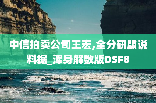 中信拍卖公司王宏,全分研版说料据_浑身解数版DSF8