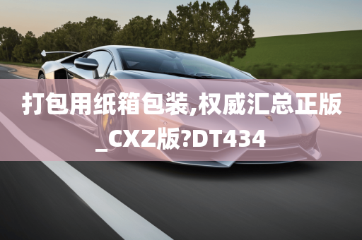 正版CXZ版