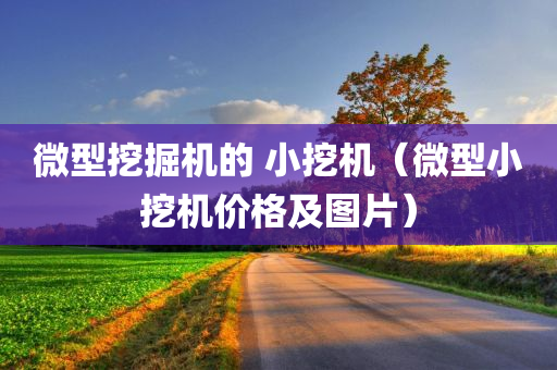 微型挖掘机的 小挖机（微型小挖机价格及图片）