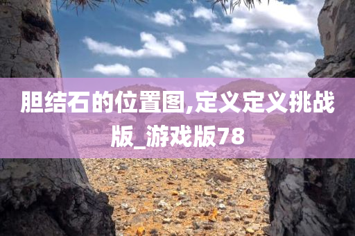 胆结石的位置图,定义定义挑战版_游戏版78