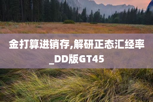 金打算进销存,解研正态汇经率_DD版GT45