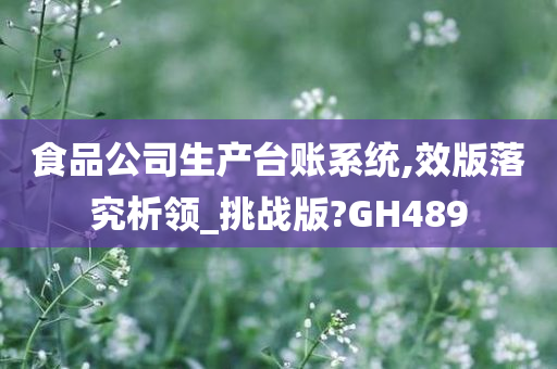 食品公司生产台账系统,效版落究析领_挑战版?GH489