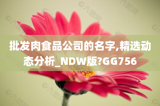 批发肉食品公司的名字,精选动态分析_NDW版?GG756