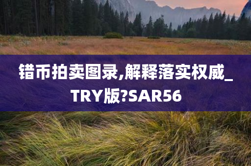 错币拍卖图录,解释落实权威_TRY版?SAR56