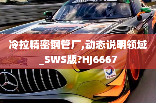 冷拉精密钢管厂,动态说明领域_SWS版?HJ6667