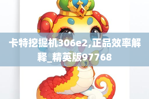 卡特挖掘机306e2,正品效率解释_精英版97768