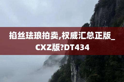 掐丝珐琅拍卖,权威汇总正版_CXZ版?DT434