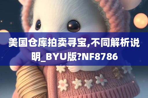 美国仓库拍卖寻宝,不同解析说明_BYU版?NF8786