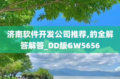 济南软件开发公司推荐,的全解答解答_DD版GW5656