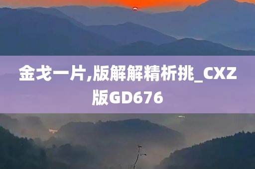 金戈一片,版解解精析挑_CXZ版GD676