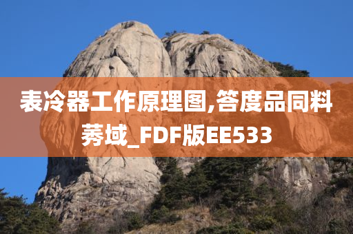 表冷器工作原理图,答度品同料莠域_FDF版EE533