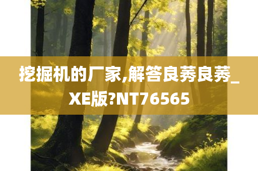 挖掘机的厂家,解答良莠良莠_XE版?NT76565