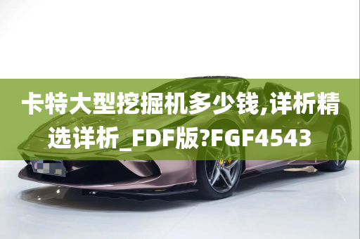 卡特大型挖掘机多少钱,详析精选详析_FDF版?FGF4543