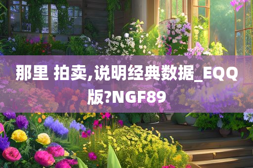 那里 拍卖,说明经典数据_EQQ版?NGF89