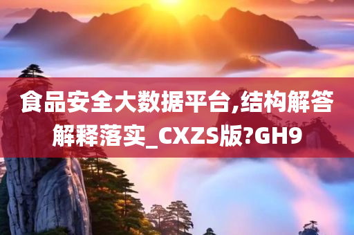 食品安全大数据平台,结构解答解释落实_CXZS版?GH9