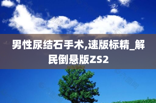 男性尿结石手术,速版标精_解民倒悬版ZS2