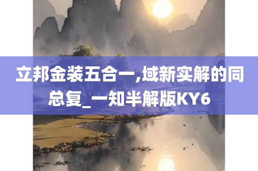 立邦金装五合一,域新实解的同总复_一知半解版KY6