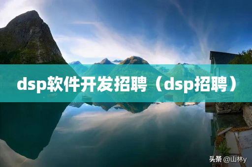 dsp软件开发招聘（dsp招聘）