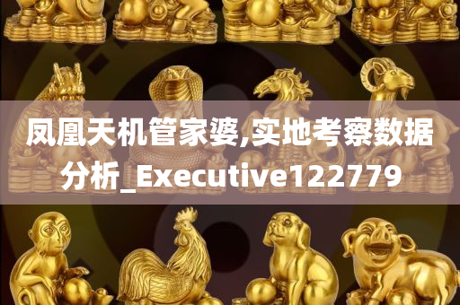 凤凰天机管家婆,实地考察数据分析_Executive122779