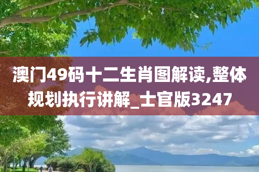 澳门49码十二生肖图解读,整体规划执行讲解_士官版3247