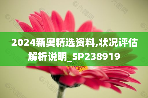 2024新奥精选资料,状况评估解析说明_SP238919