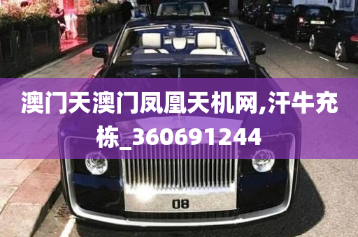 澳门天澳门凤凰天机网,汗牛充栋_360691244