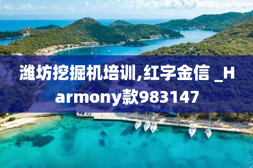 潍坊挖掘机培训,红字金信 _Harmony款983147