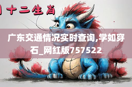 广东交通情况实时查询,学如穿石_网红版757522