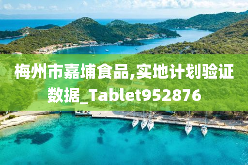 梅州市嘉埔食品,实地计划验证数据_Tablet952876