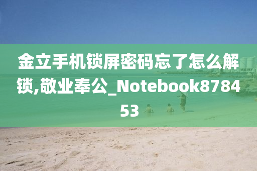 金立手机锁屏密码忘了怎么解锁,敬业奉公_Notebook878453