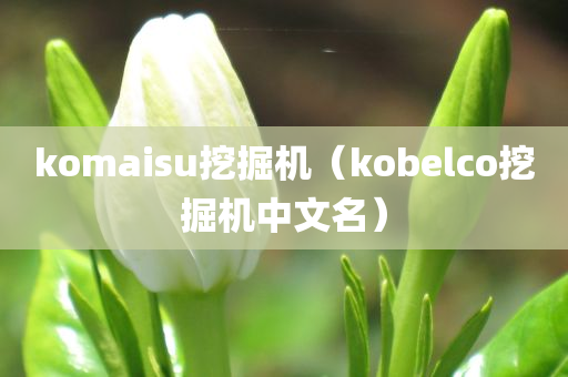 komaisu挖掘机（kobelco挖掘机中文名）