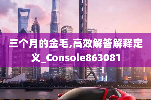 三个月的金毛,高效解答解释定义_Console863081