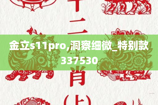 金立s11pro,洞察细微_特别款337530