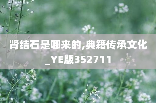 肾结石是哪来的,典籍传承文化_YE版352711