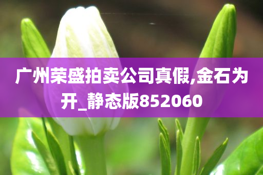 广州荣盛拍卖公司真假,金石为开_静态版852060